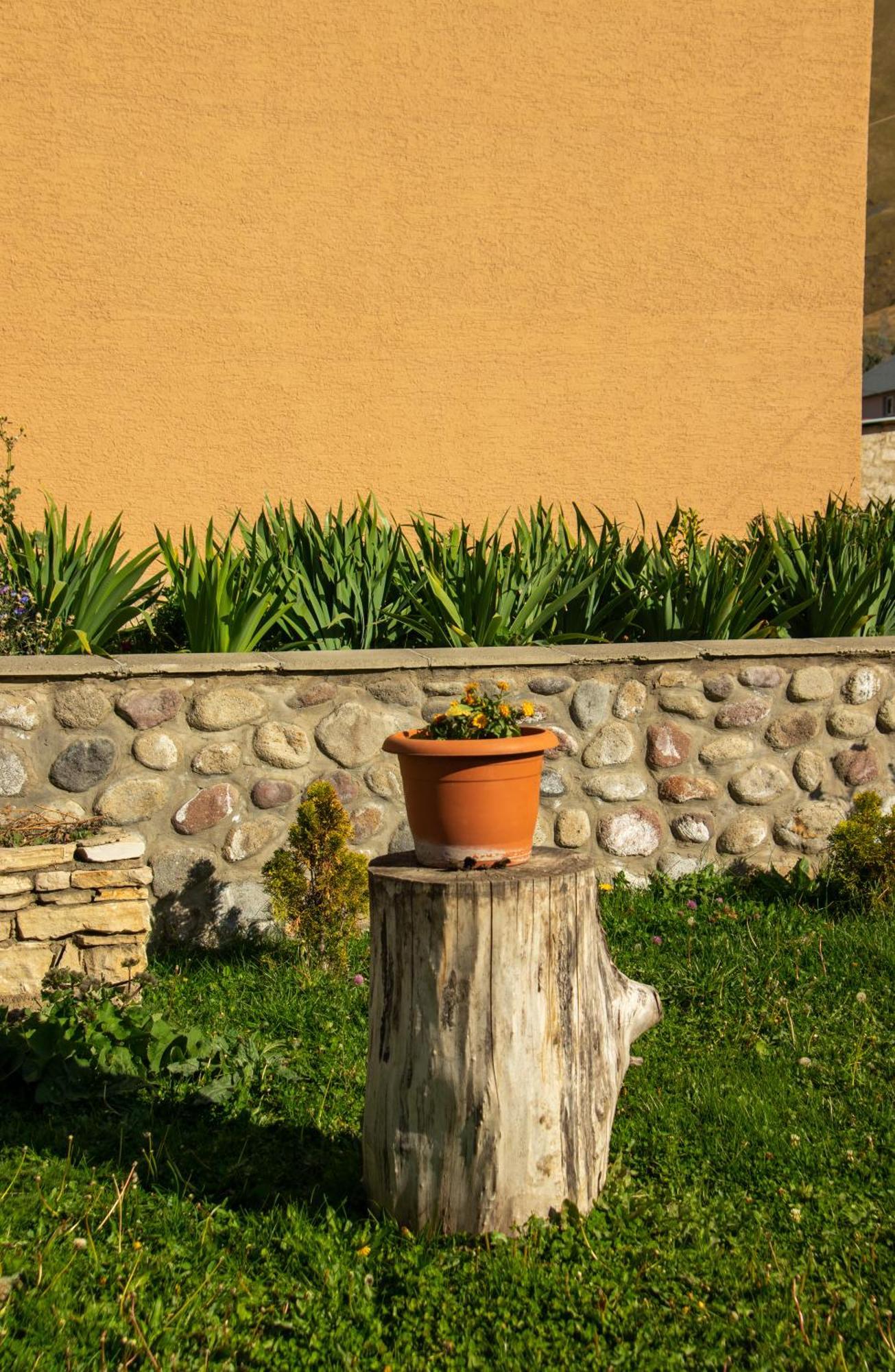 Guest House Oxygen Kazbegi Εξωτερικό φωτογραφία